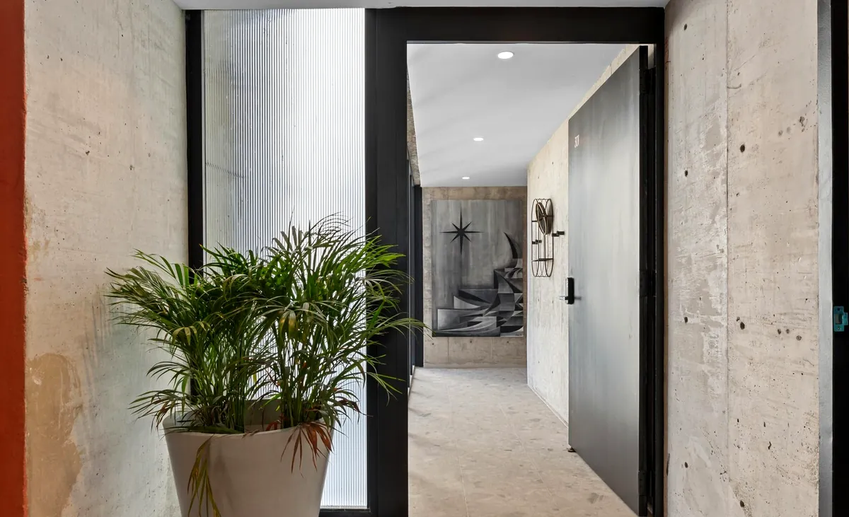 Entrance hallway with concrete walls and a living plant